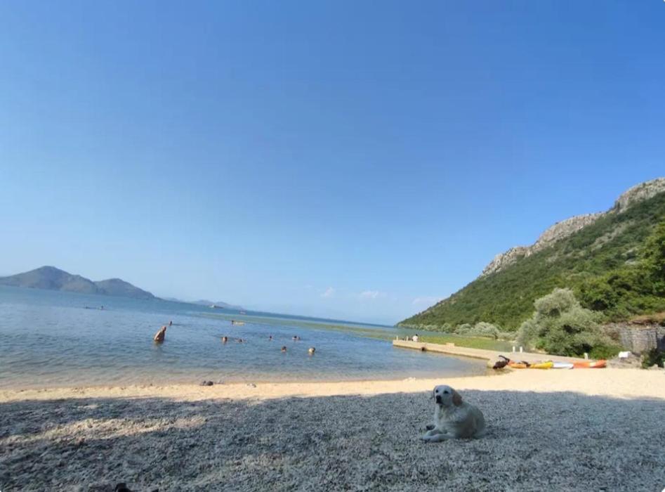 Ivan'S Holiday Home Вирпазар Екстериор снимка